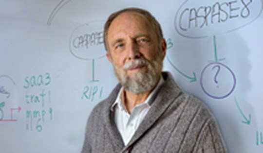 Prof. David Wallach