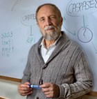 Prof. Prof. David Wallach