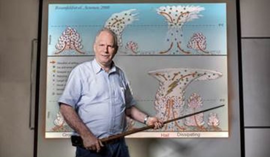 Daniel Rosenfeld